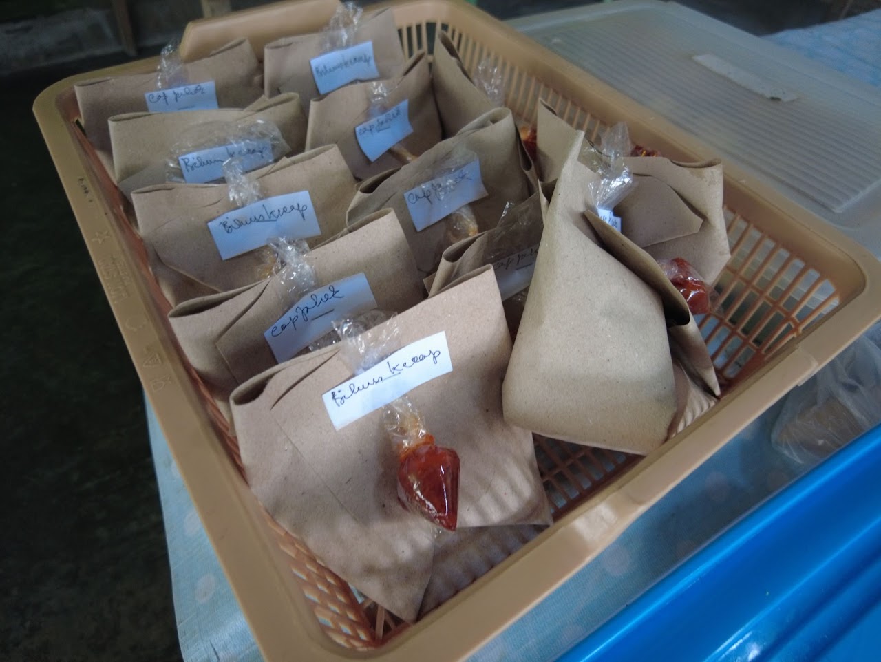 Nasi Bungkus